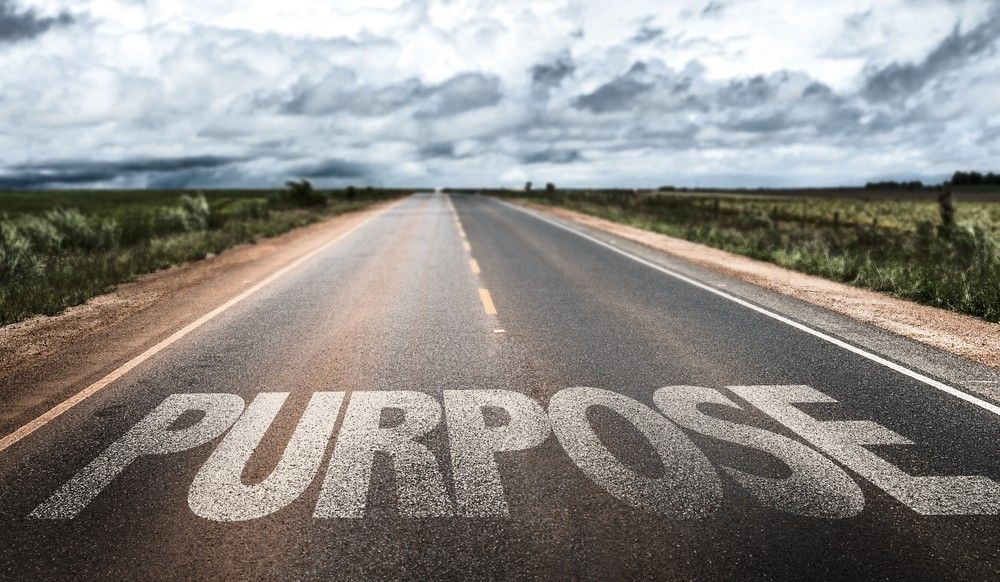 How to Hack Purpose