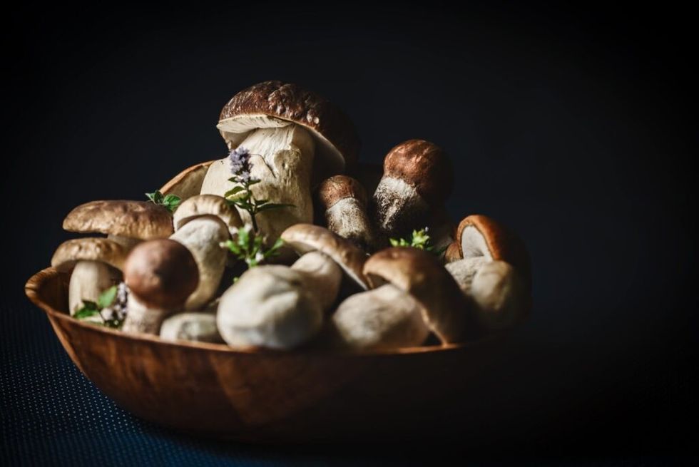 Bowl-of-mushrooms