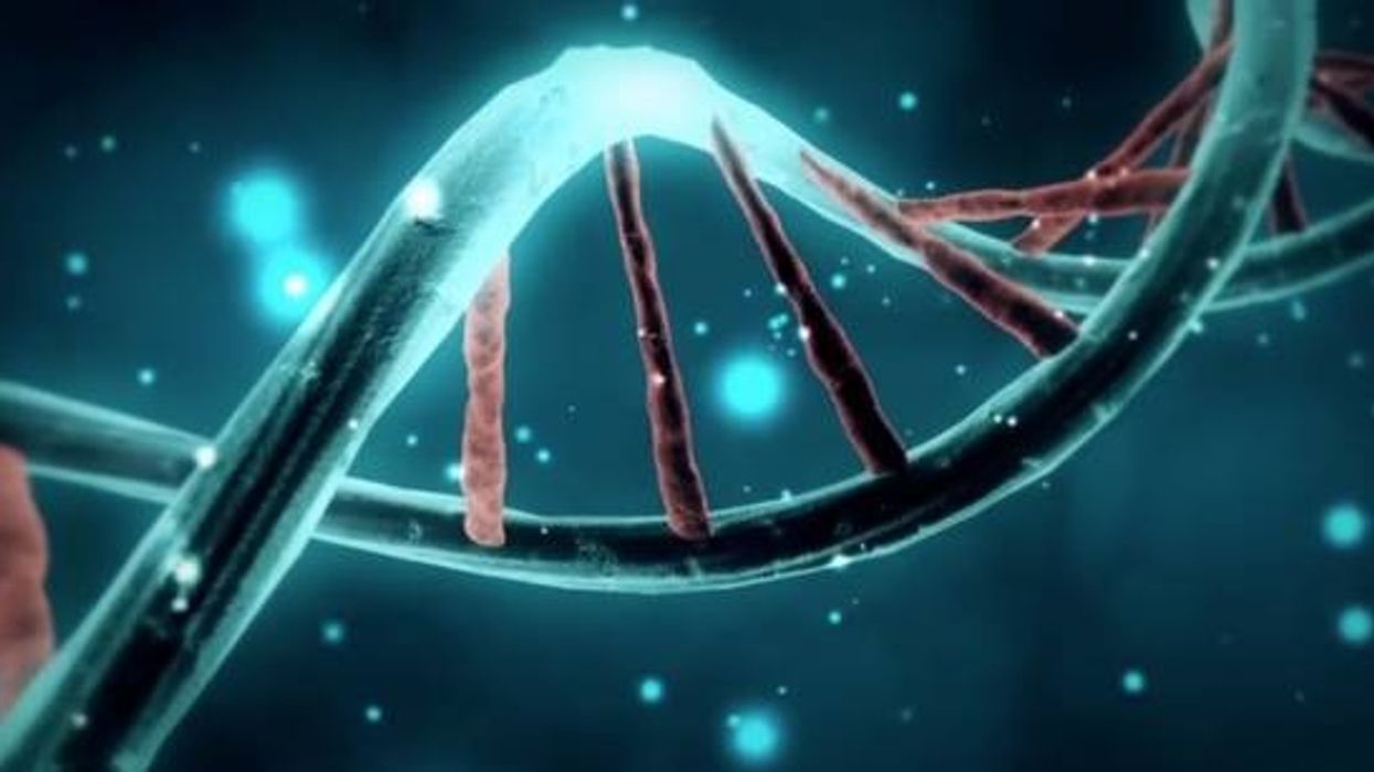 Richard Dawkins: We Are The Lucky Ones