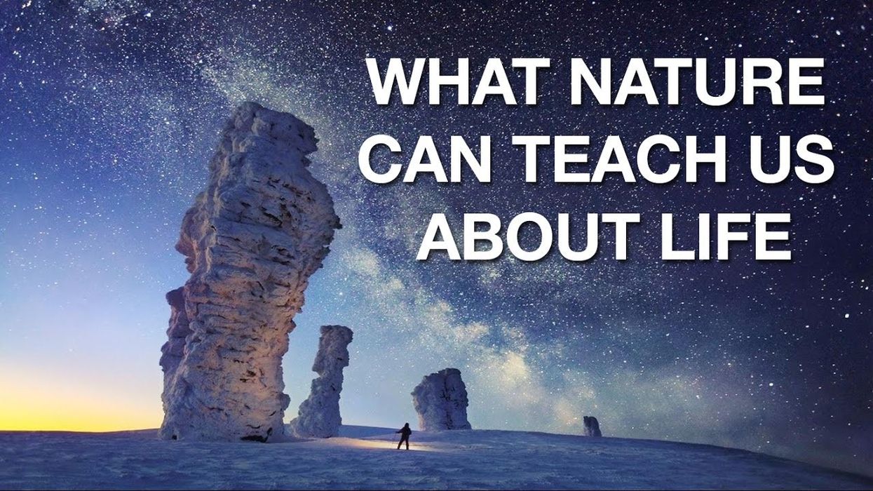 What Nature Can Teach Us About Life
