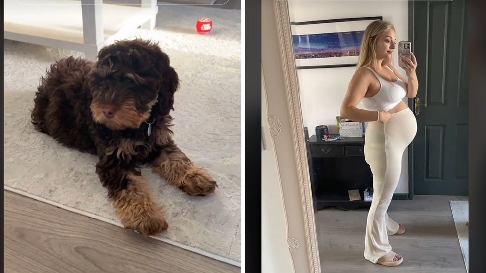 A dog and a pregnant woman taking a picture in a mirror.