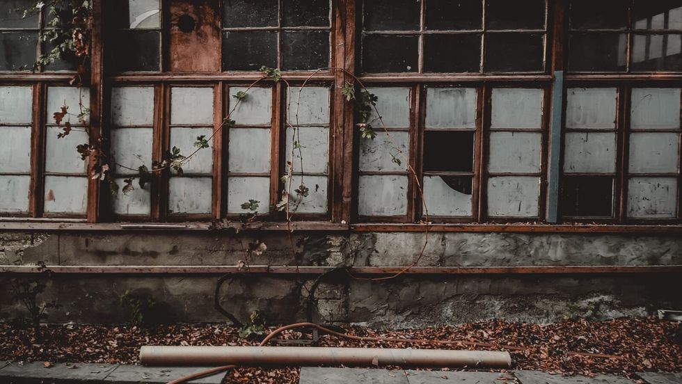 a house with broken windows and creepers