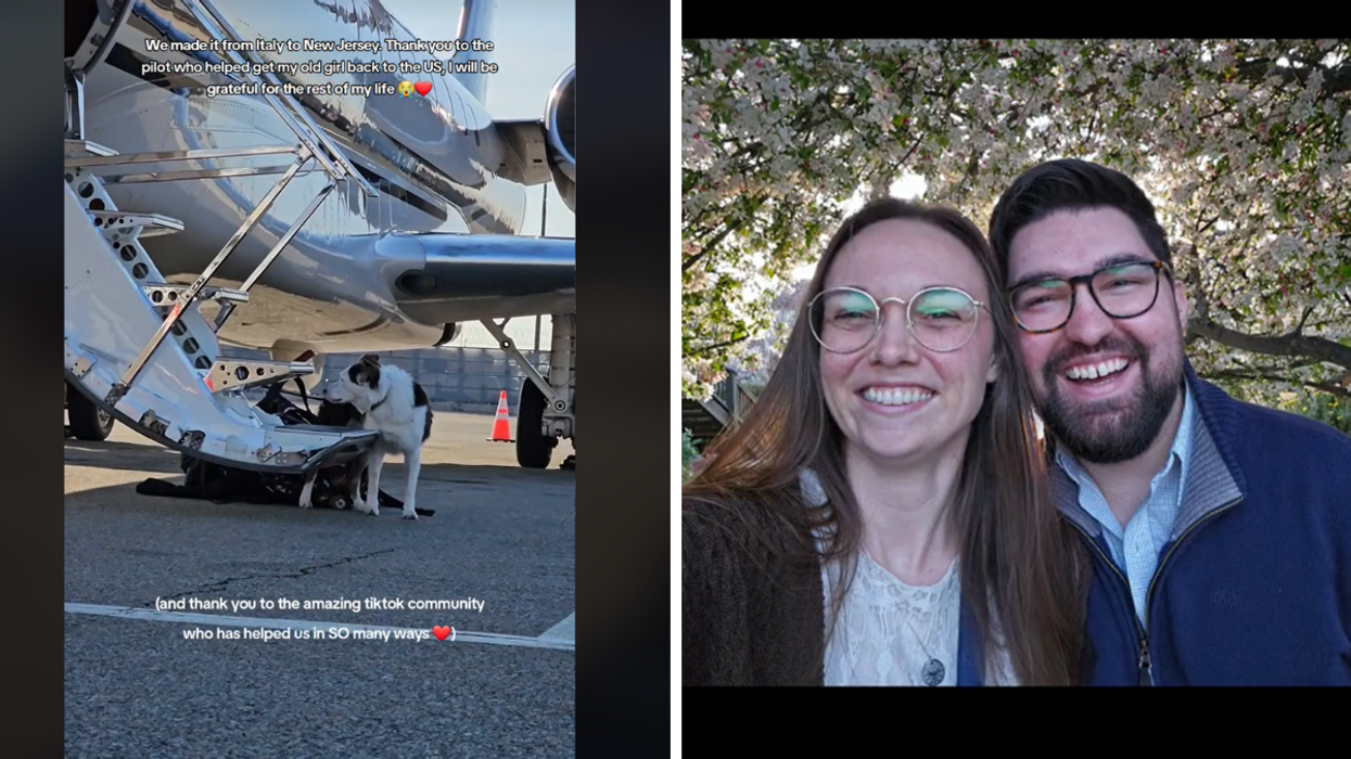 Random Pilot Replies to a Strangers Plea Online to Help Her Dog - Then They Fell in Love