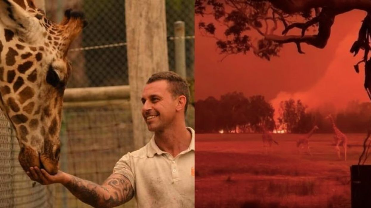 Australian Zookeeper Saves Animals From Terrible Fires By Taking Them Home