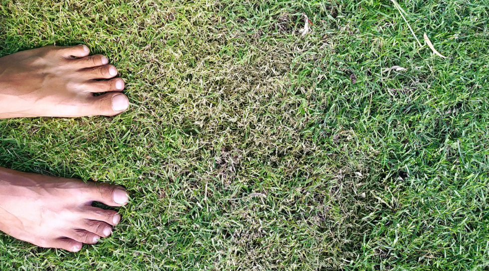 bare feet on grass