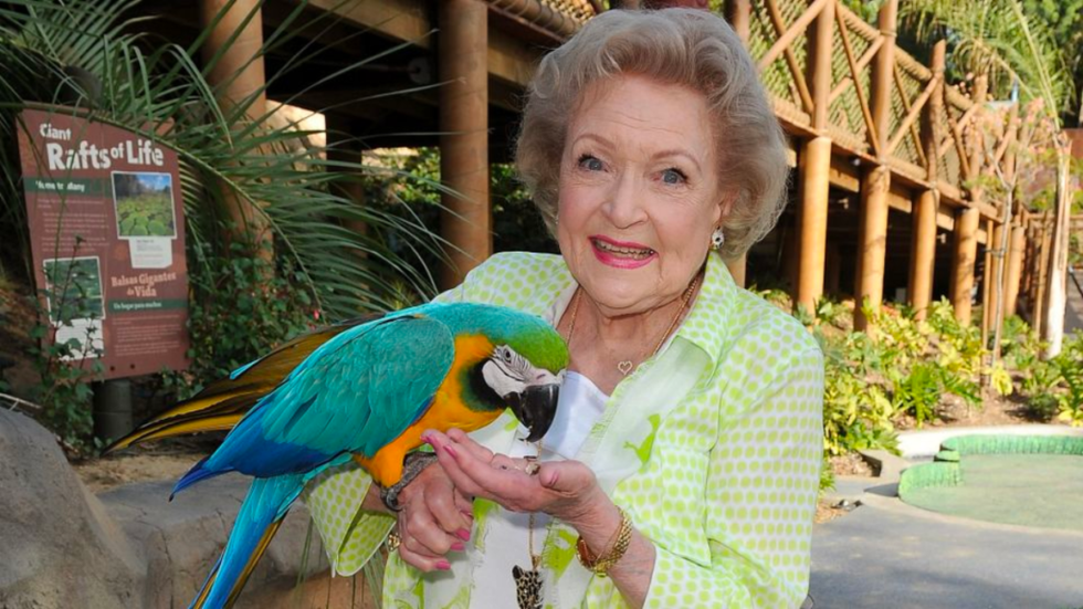 Betty White holding a parrot at the Los Angeles Zoo.
