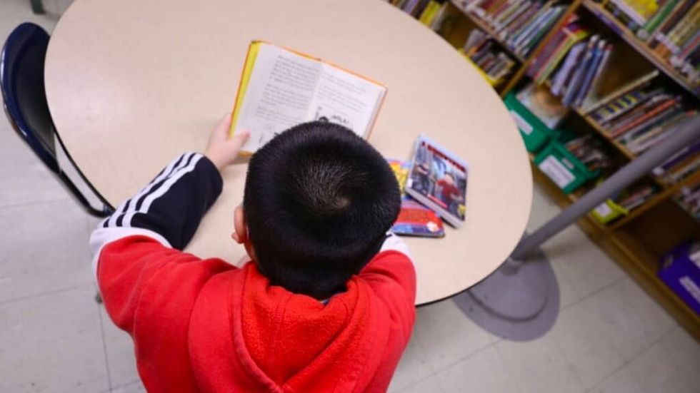 boy reads in library