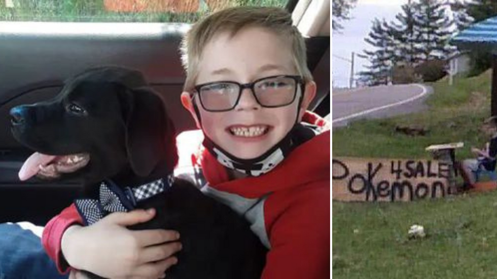 Boy Scared Of Losing Puppy Sells Pokémon Cards, Receives $6K From Strangers