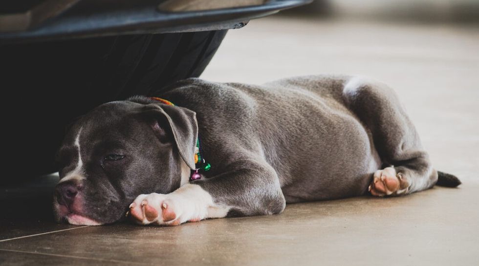 Bullying in children 1 1024x571