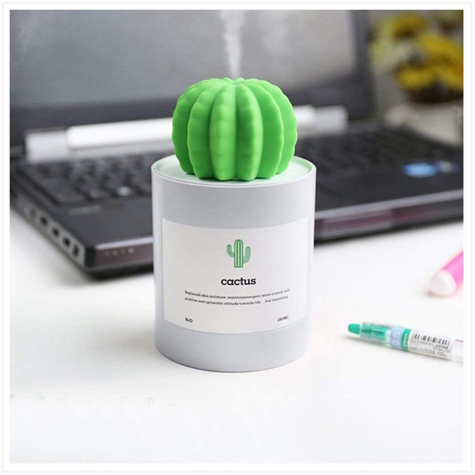 cactus-humidifer
