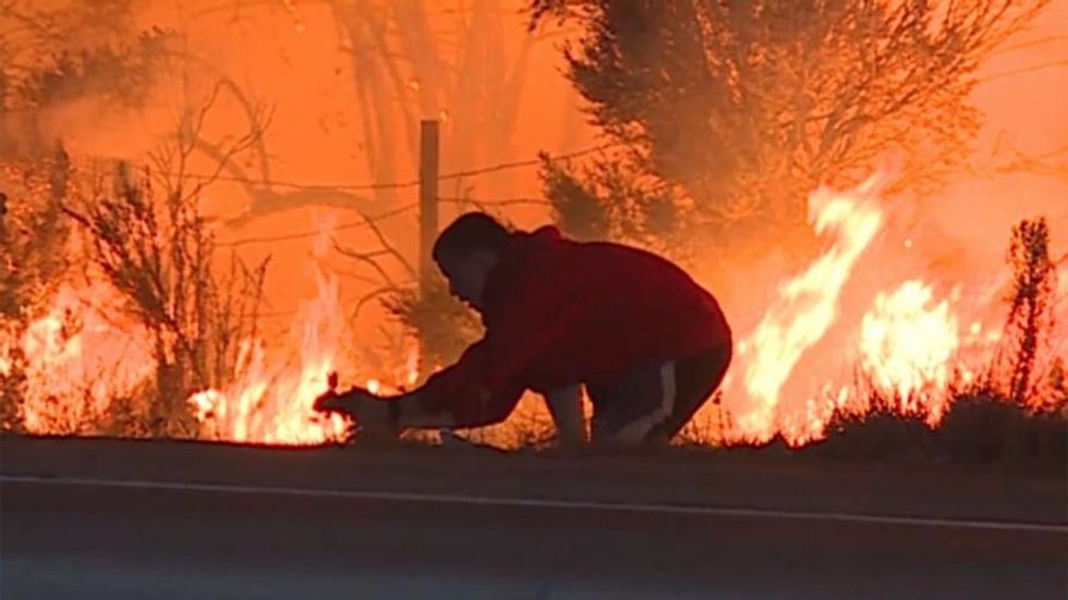 This Video of a Man Saving a Rabbit from California's Wildfires is Exactly What We Needed Today