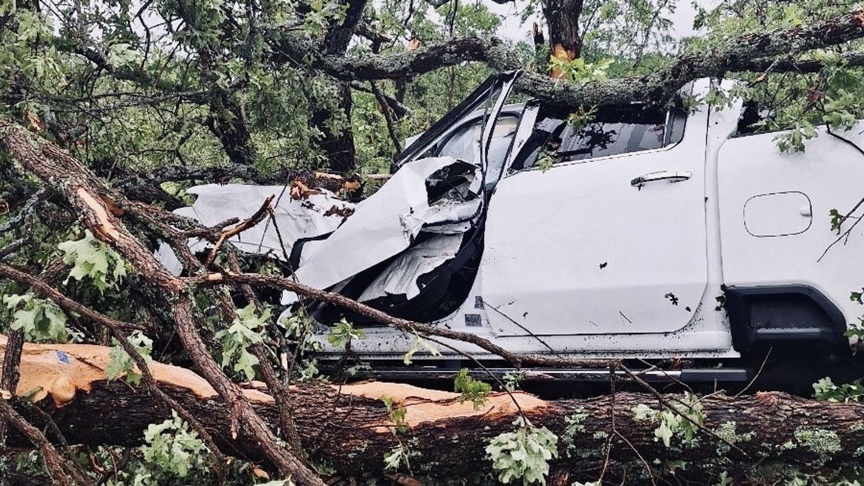 Car trapped under tree.
