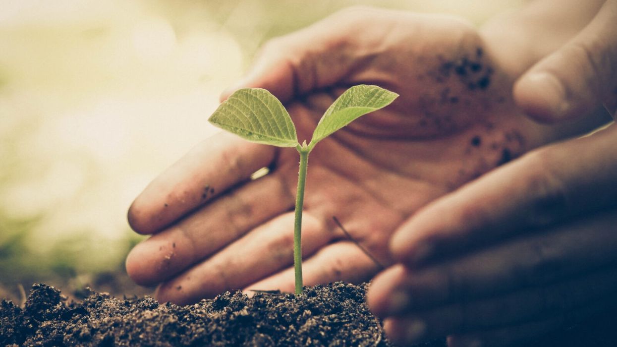 After the Decision: How To Sustain Through Difficult Times Of Change