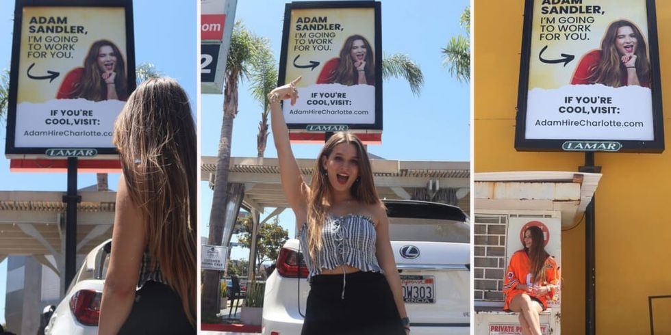 Charlotte Jolley's Adam Sandler billboard signs