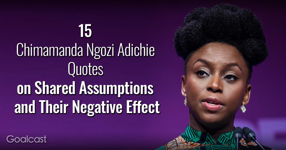 15 Chimamanda Ngozi Adichie Quotes on Shared Assumptions and Their Negative Effect
