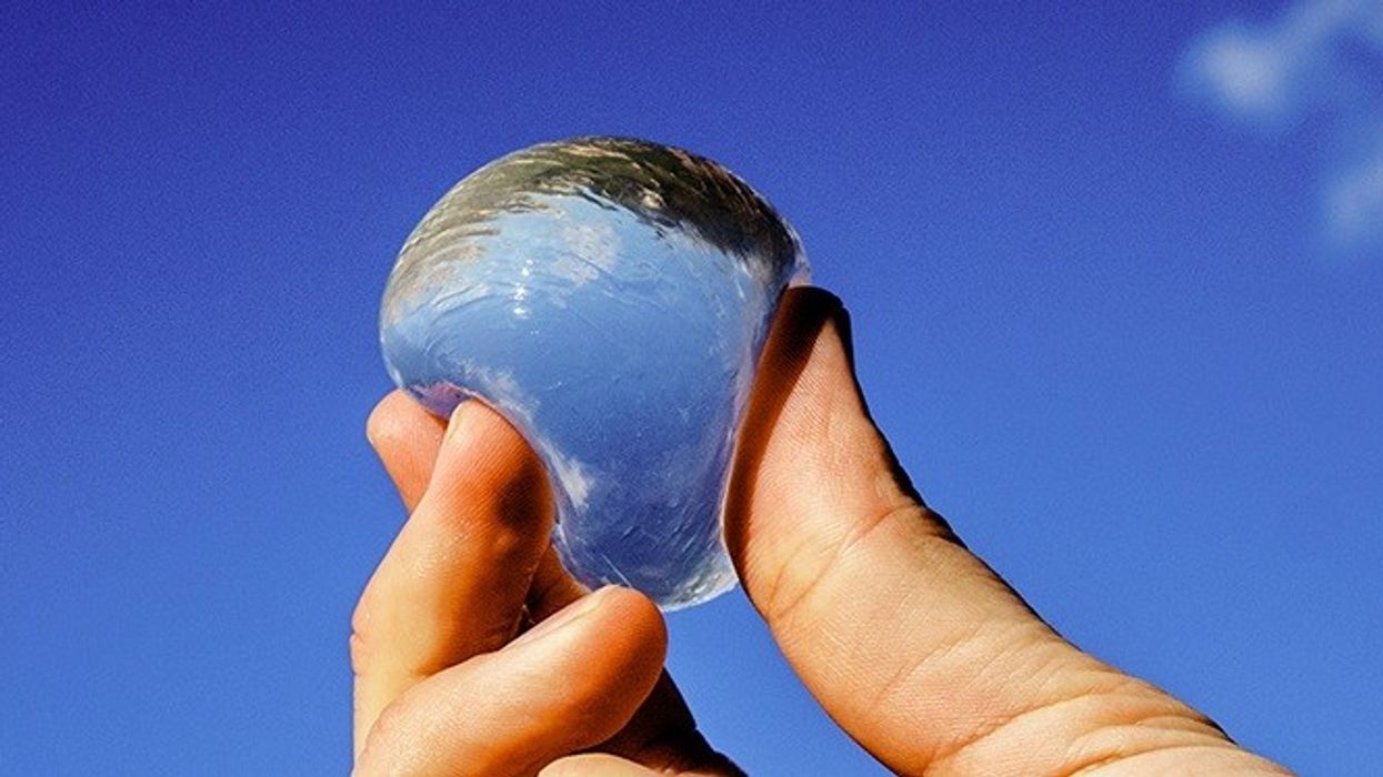 Edible Trash Is Now a Thing – And It’s Quite Delicious