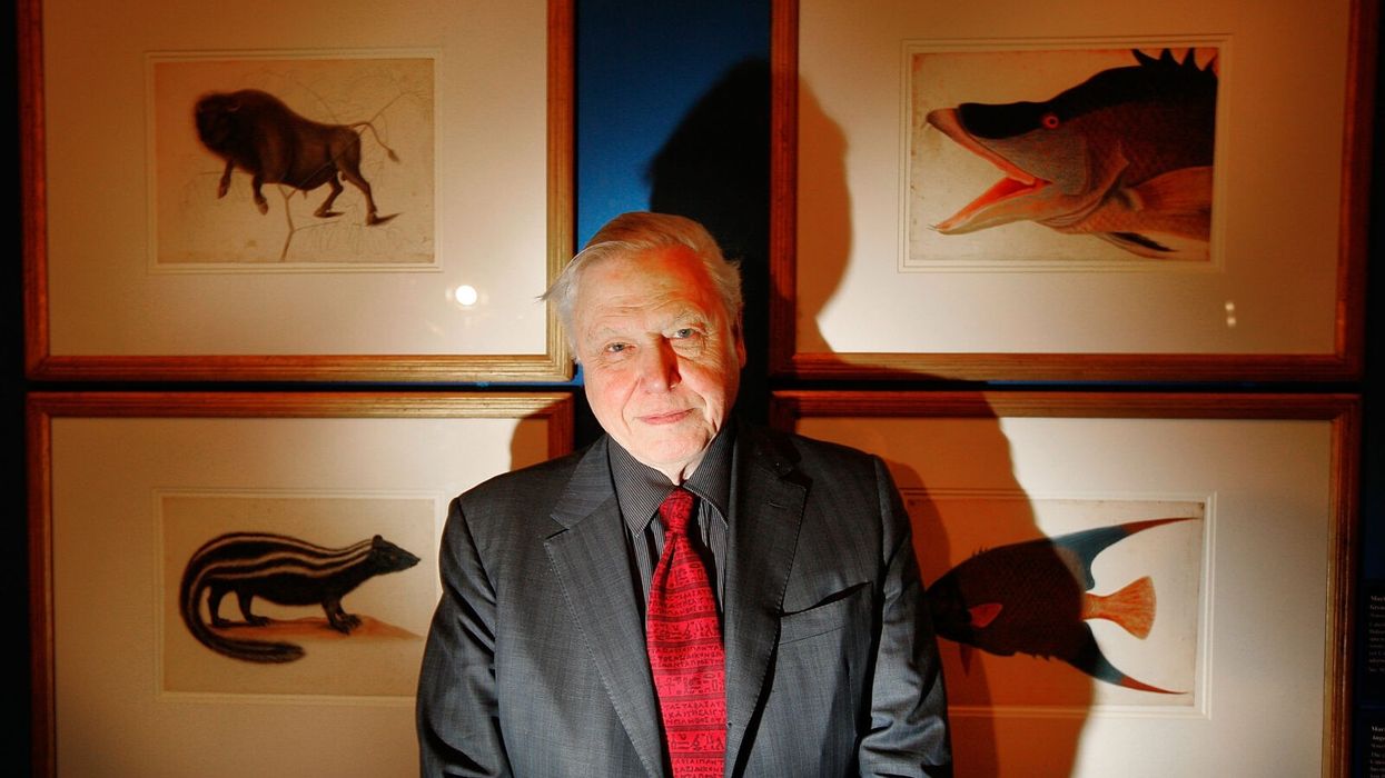 Hero of the Week: David Attenborough Dedicates His Last Years to Saving the Planet