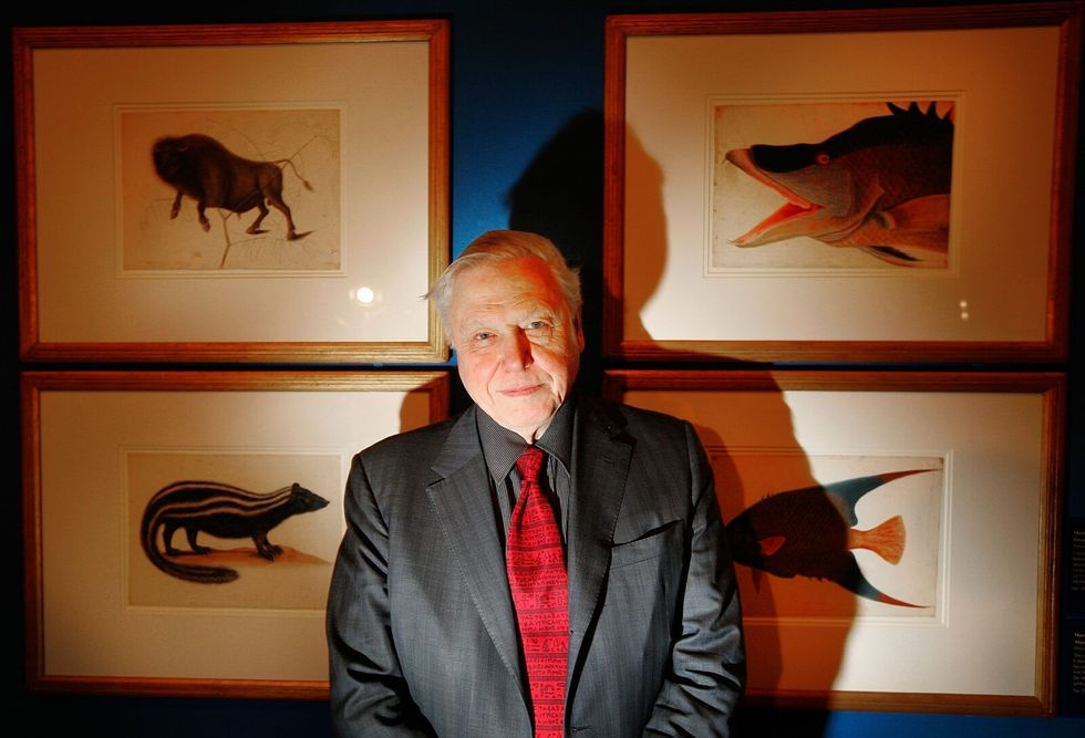 Hero of the Week: David Attenborough Dedicates His Last Years to Saving the Planet