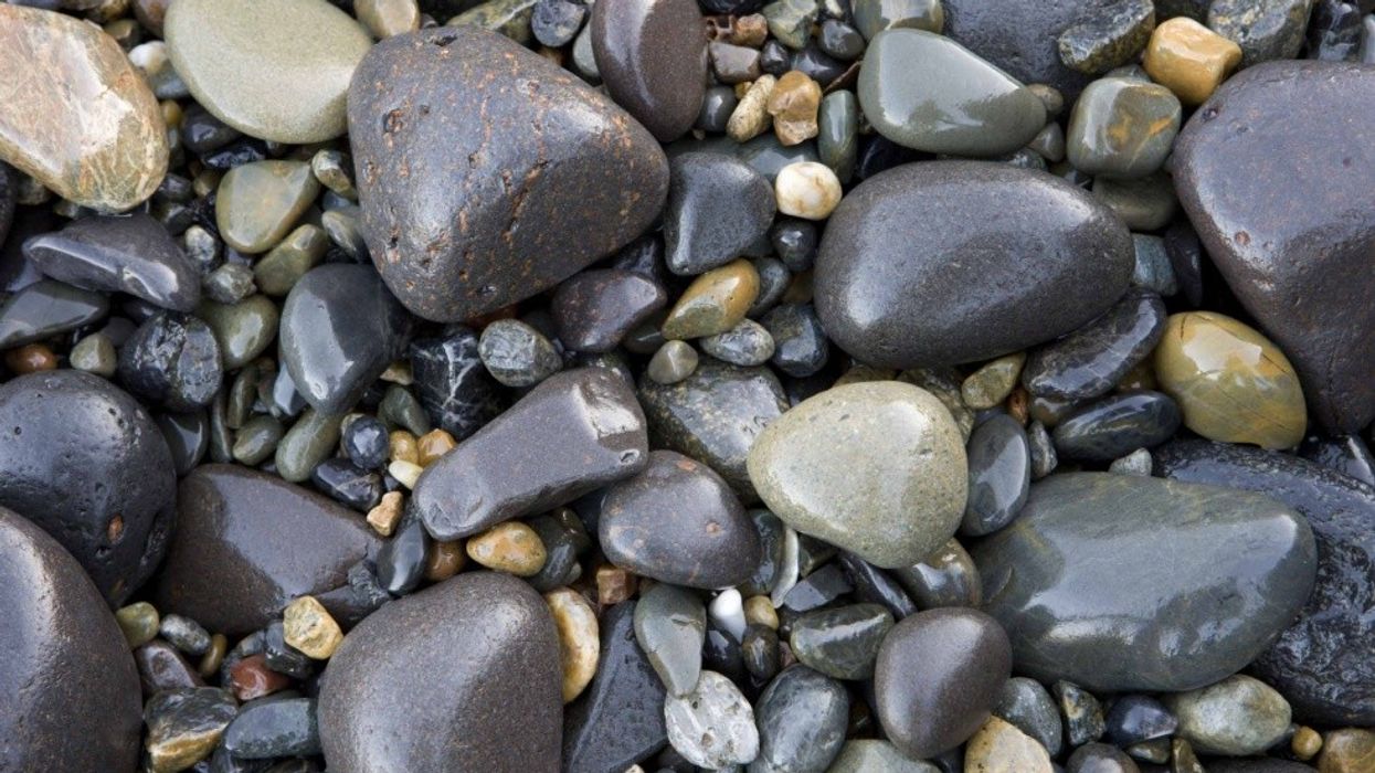 Does One Life Have More Value Than Another?