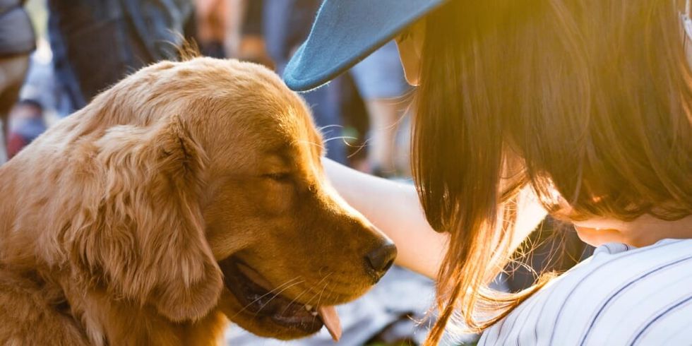 Dog and owner face to face by Adam Griffith from Unsplash