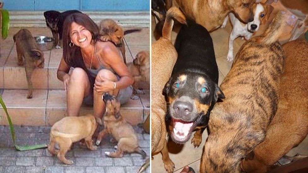 Woman Brings 97 Homeless Dogs Into Her Home During Hurricane - Now She’s Trying to Get Them Permanent Homes