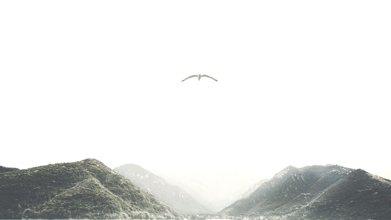 What Are You Willing to Sacrifice for Your Dreams?