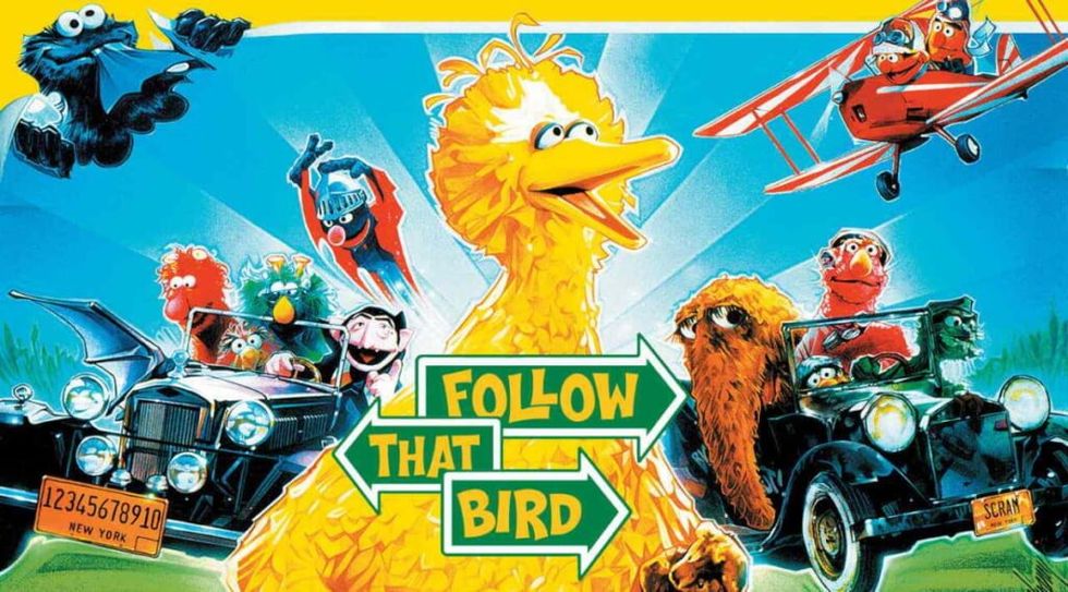 Follow that bird 1024x567