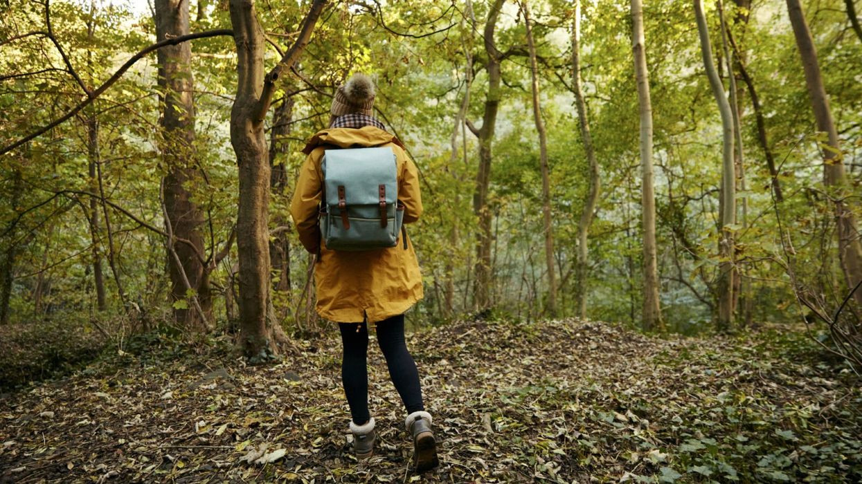 Forest Bathing: Boost Your Wellbeing with Mother Nature
