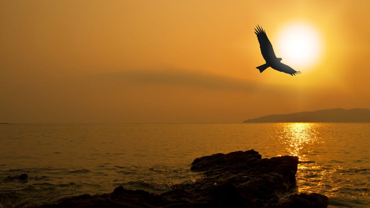 I Just Quit My 9-5 Job, and Here's What I Learned