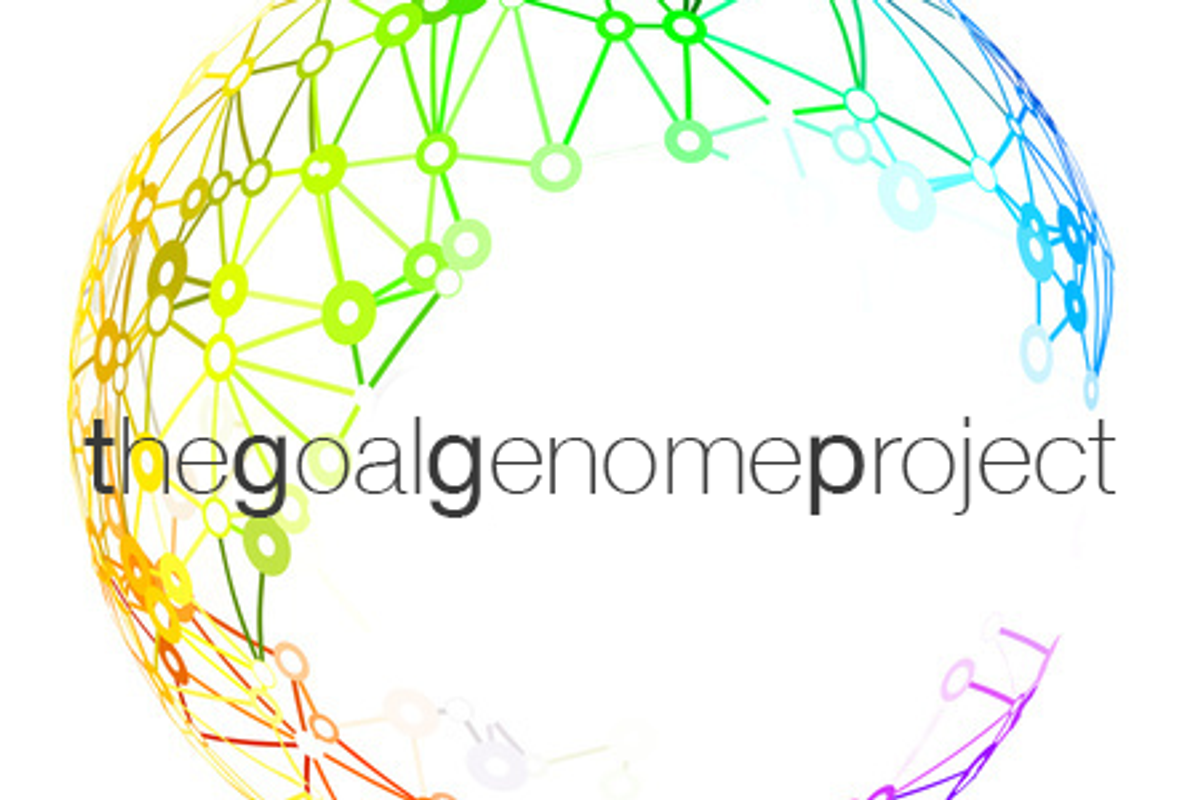 The Goal Genome Project
