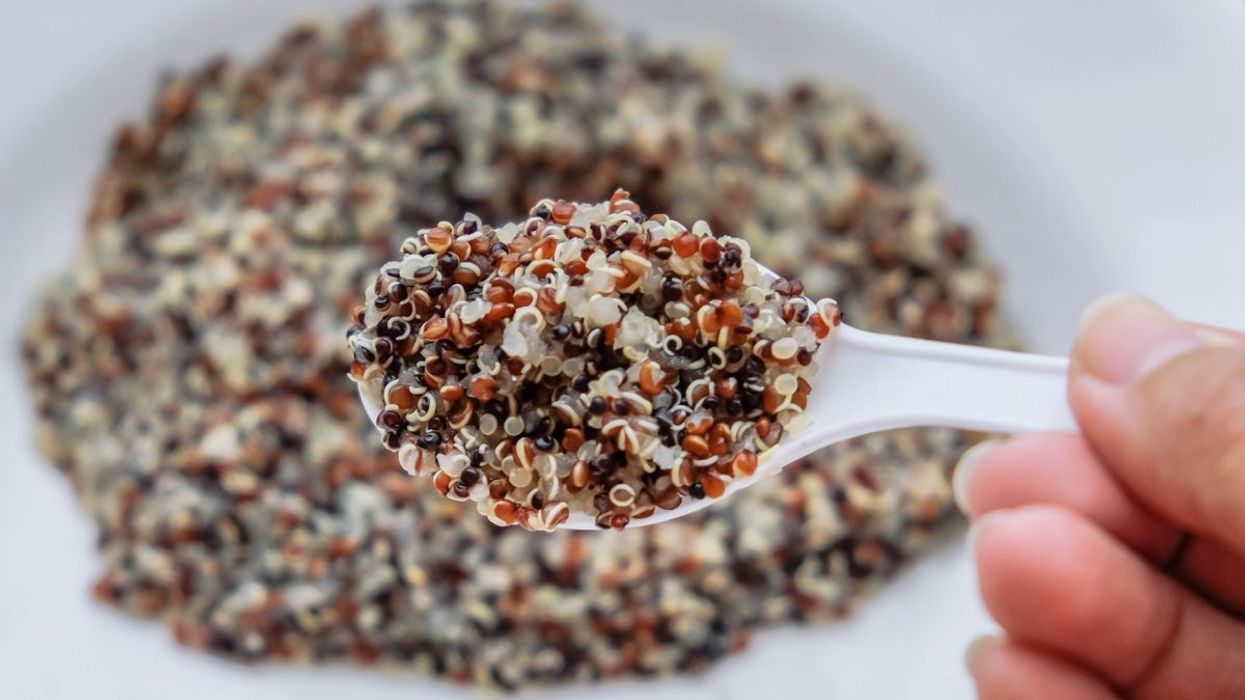 Gluten Free Diet: Is It Time To Give Up Wheat?