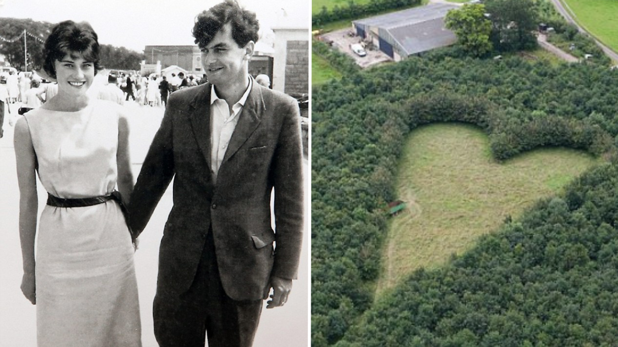 Farmer's Tribute for His Late Wife Goes Unnoticed - Until a Stranger Stumbles Upon It by Chance