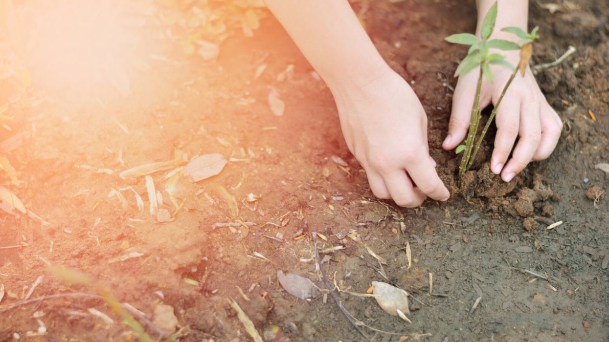 8 Things They Definitely Should Have Taught You in School