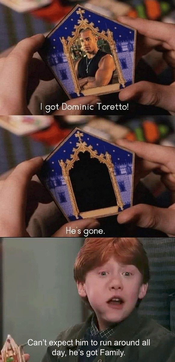 Harry Potter-Vin Diesel family meme