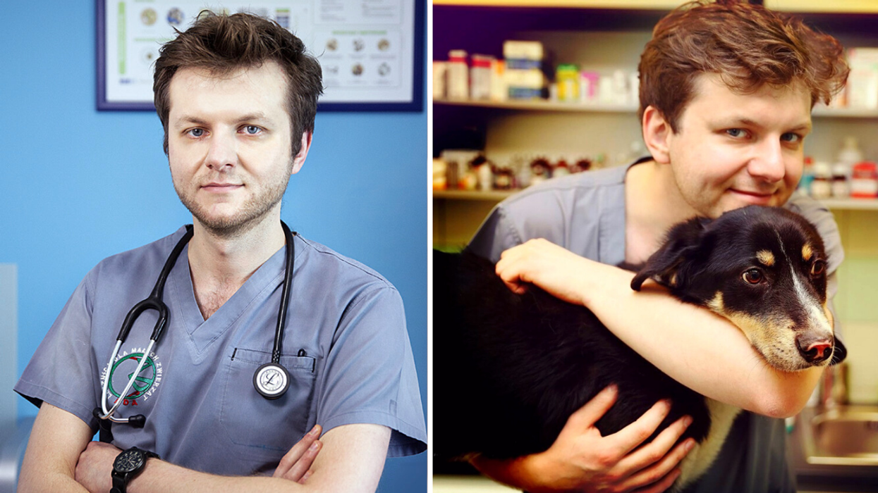 Ukrainian Vet Risks His Life To Rescue Trapped Pets During Russian Invasion