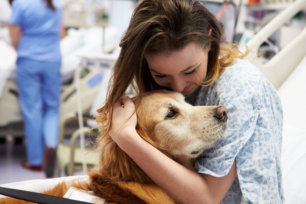 Man Sneaks Dog into Hospital to Say Goodbye to Dying Wife, Showing Pets Are the Most Amazing Gifts Ever