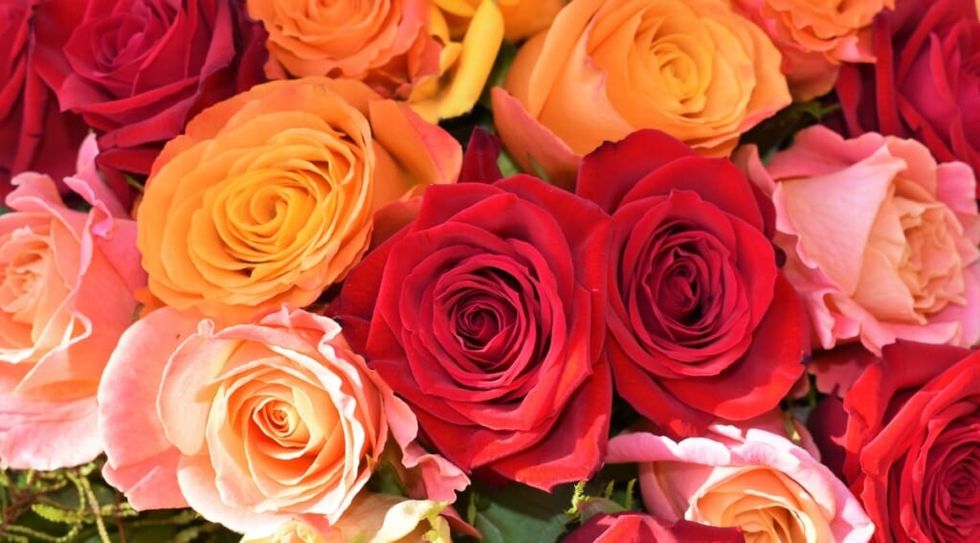 Husband wife cancer chemotherapy roses 1024x567