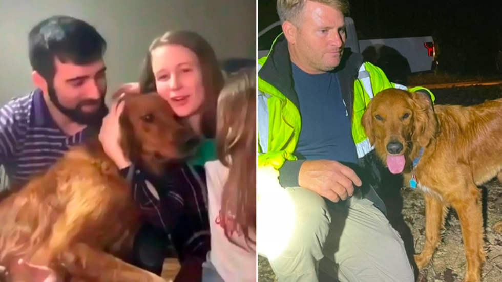 Family Dog Keeps Daughters Safe After They Were Stranded and Lost in Woods