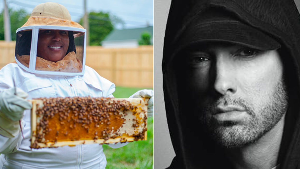 Detroit Couple Turn Vacant Lots to Bee Farms – Including the Childhood Home of One Legendary Rap Superstar