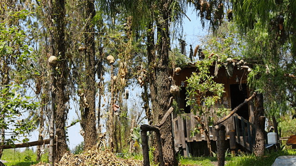 Image: IslaDeLasMunecas.com