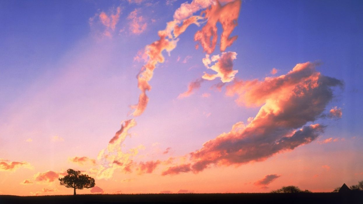 Where Has The Love Gone?