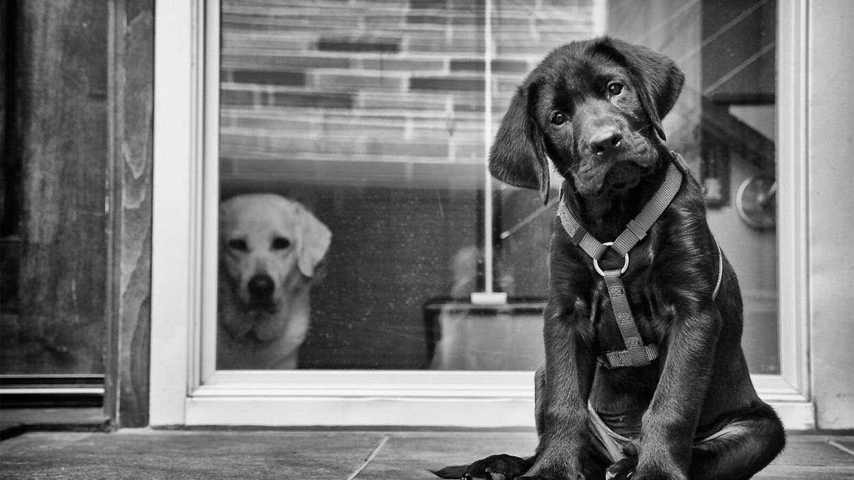 How To Become 'That' Person Who Always Finds Success