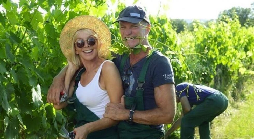 Instagram sting and wife trudy 1024x559