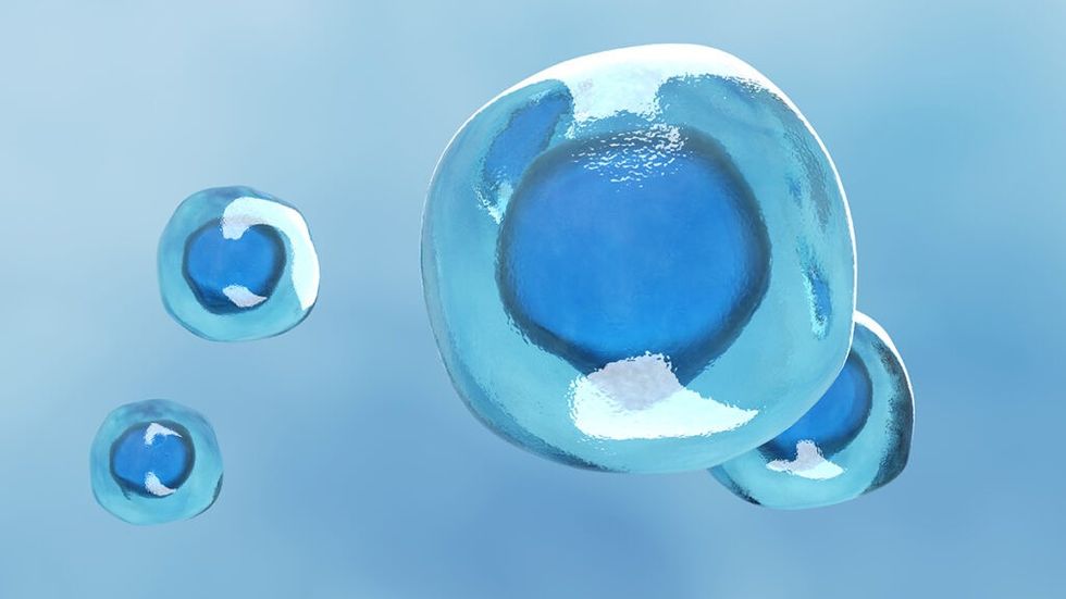 intermittent fasting 16/8