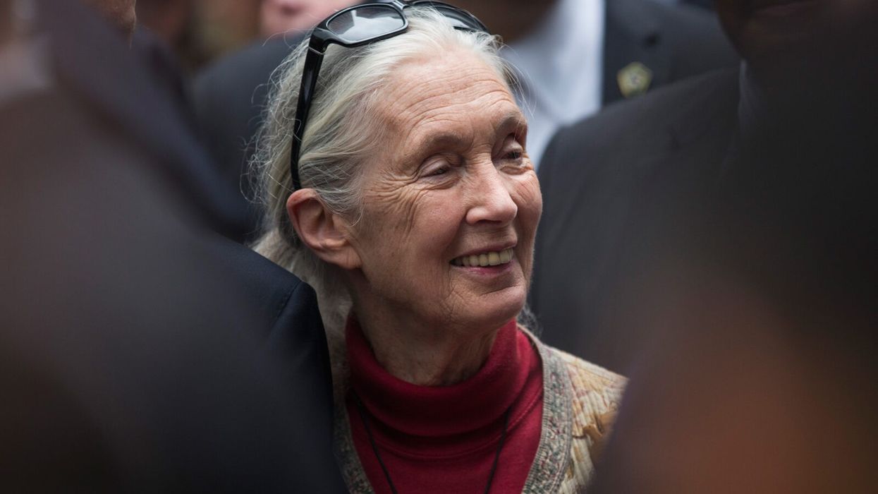 Jane Goodall Says This Specific Skill Is Key in Inspiring Others