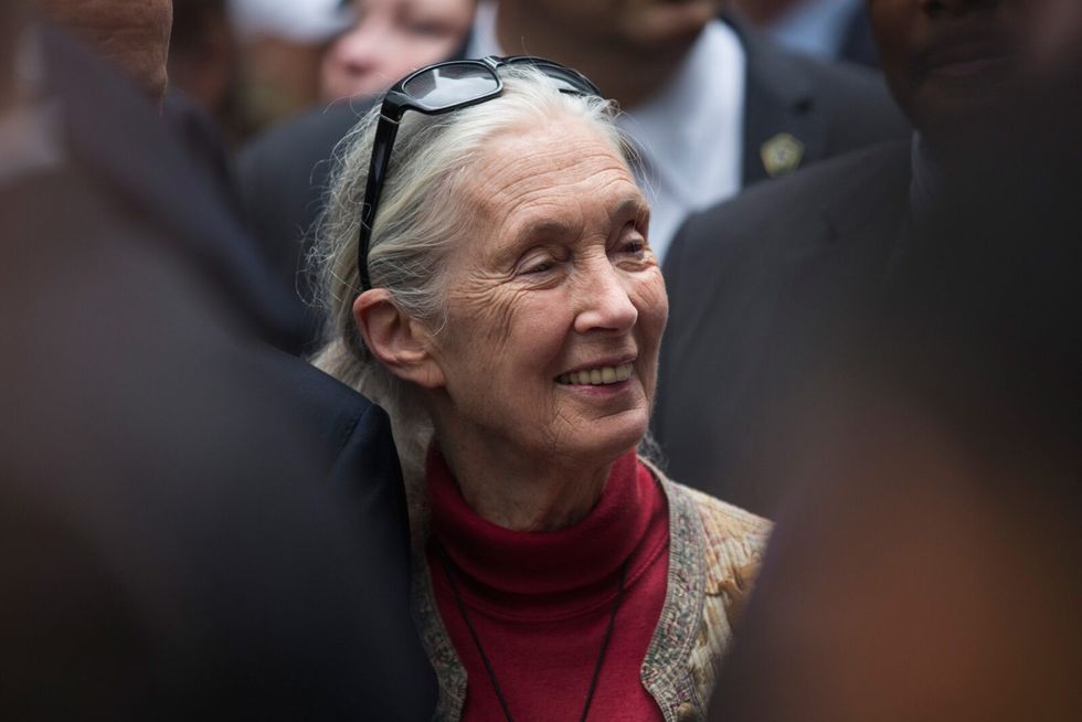 Jane Goodall Says This Specific Skill Is Key in Inspiring Others