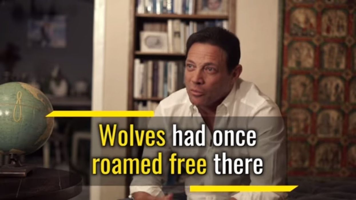 Jordan Belfort | How To Find The Key Element