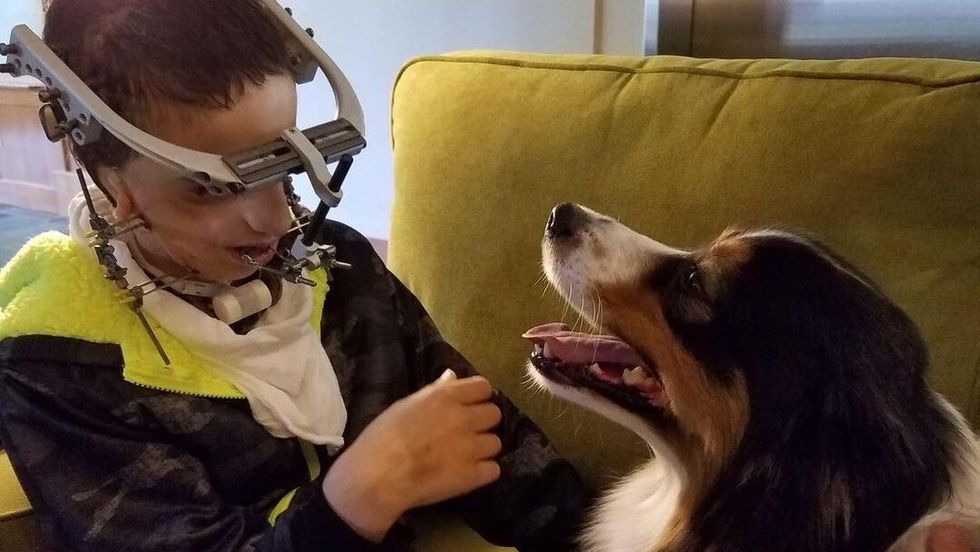 little boy playing with a dog