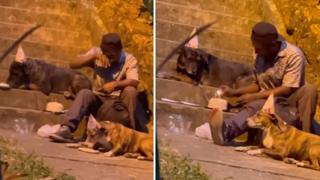 Homeless Man Caught Giving His Dogs a Birthday Party - His Neighbors Step in and Change His Life