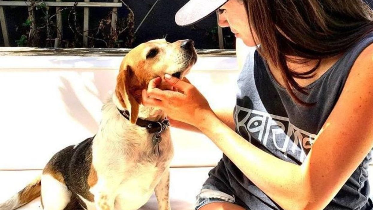 The Story of Meghan Markle’s Rescue Beagle Is a Reminder That Even at Our Lowest Point, We Can Still Live Beyond Our Wildest Dreams